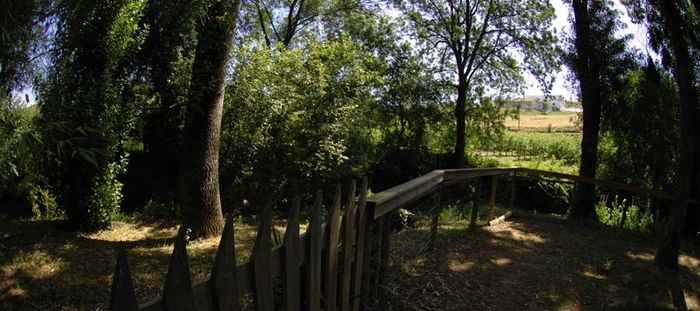 Qta Sto António Freixo 