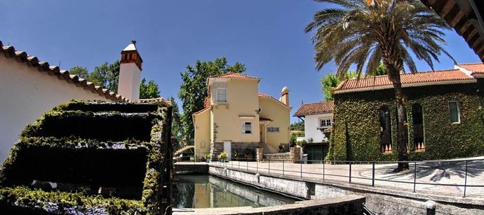 Qta Sto António Freixo 