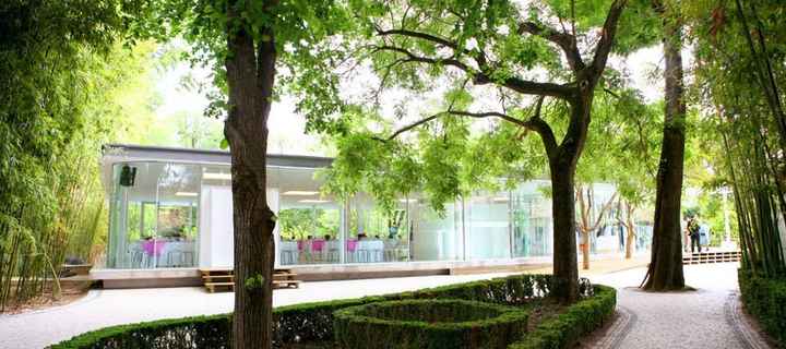 Qta Sto António Freixo 