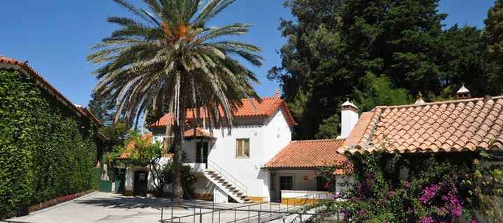 Qta Sto António Freixo 