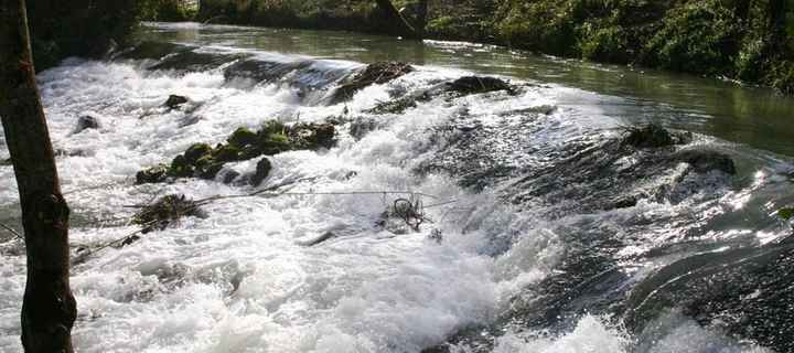 Qta Sto António Freixo 