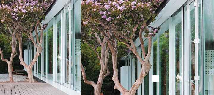 Qta Sto António Freixo 