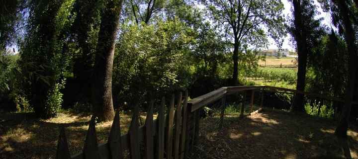 Qta Sto António Freixo 