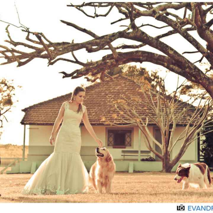 Trash the Dress - Onde fazer 👰‍♀️🤵‍♂️ - 9