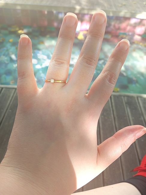 Anunciar o noivado a 67 dias do casamento?! - 2