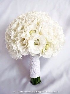 lisianthus 