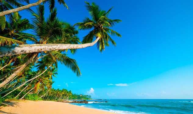 Lua-de-mel check 😍 - 7