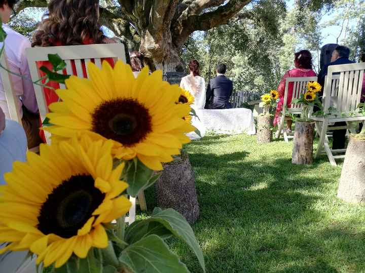 ...e viveram felizes para sempre! - 2