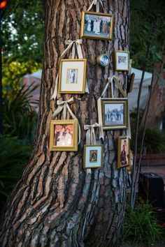 B&p - a decoração exterior do nosso dia 💕 - 12
