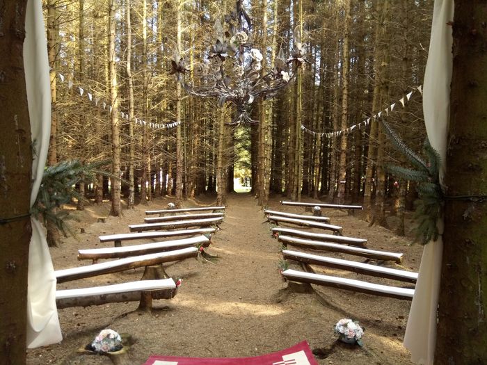 Um Casamento na Halloween Town 👻 2