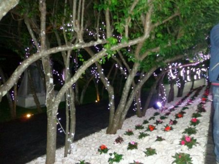 Showroom quinta morgadinha - 5