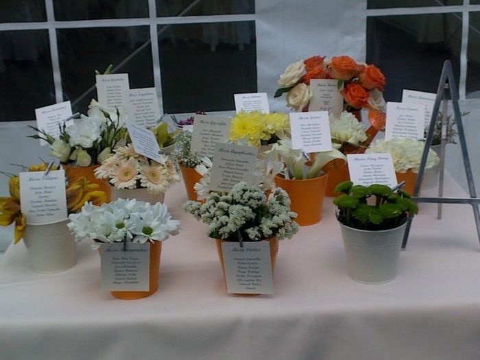 Tema flores