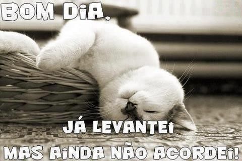 bom dia
