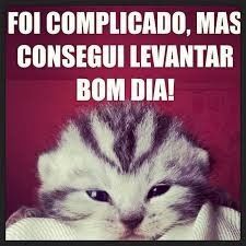 bom dia