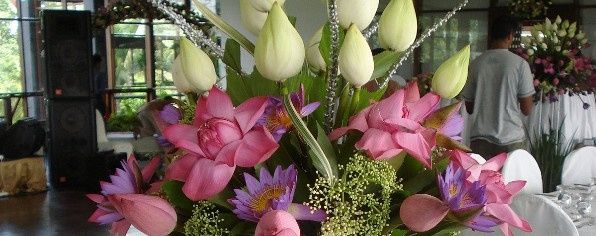 Budas