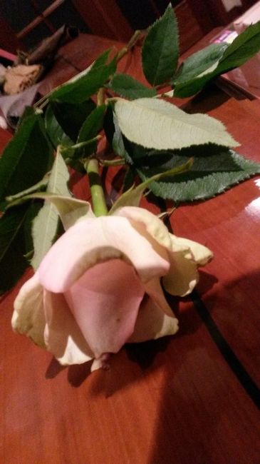 Rosinha