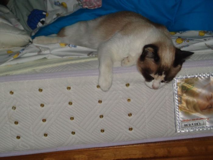 Pupi  :)