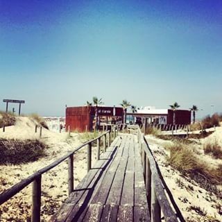Bar de praia