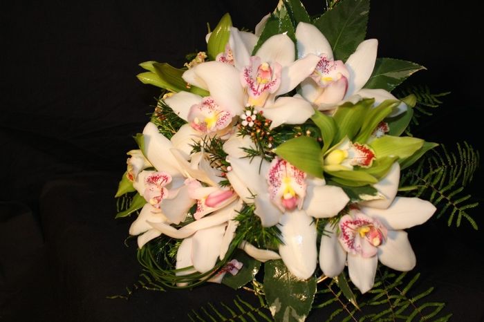 Orquídeas