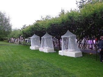 Quinta Morgadinha