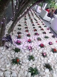 Quinta Morgadinha