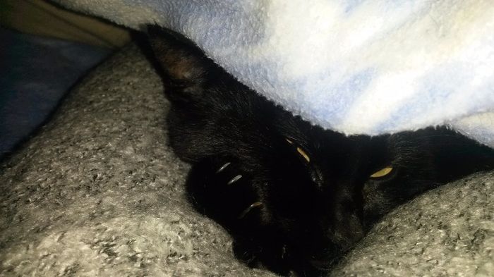 AMor da minha vida