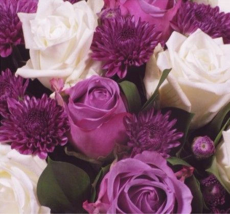 Cor das flores