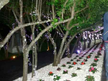 Showroom quinta morgadinha - 5