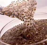 Sementes de chia