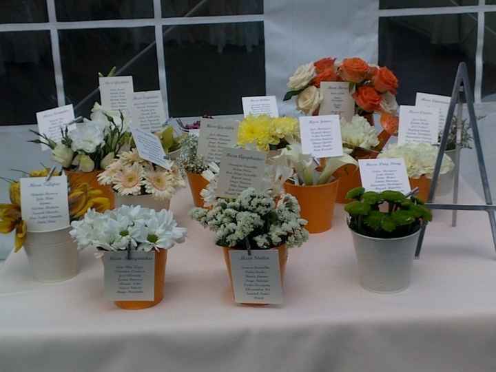 Tema flores