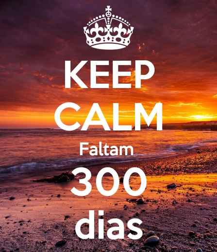 300 dias