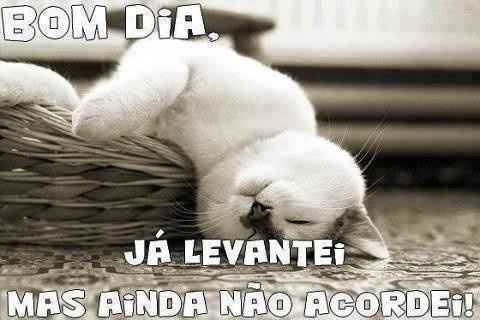 bom dia