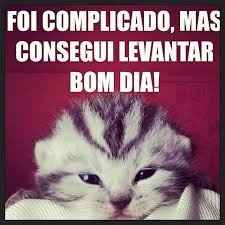 bom dia