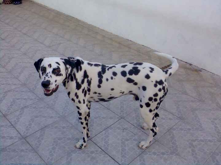 Mickey