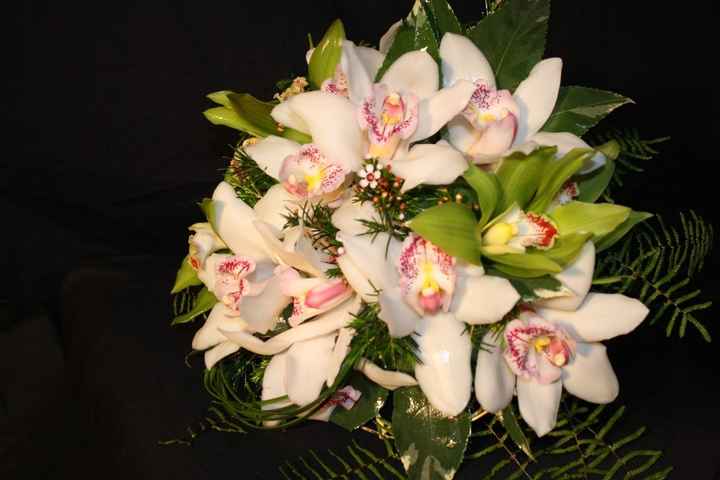 Orquídeas