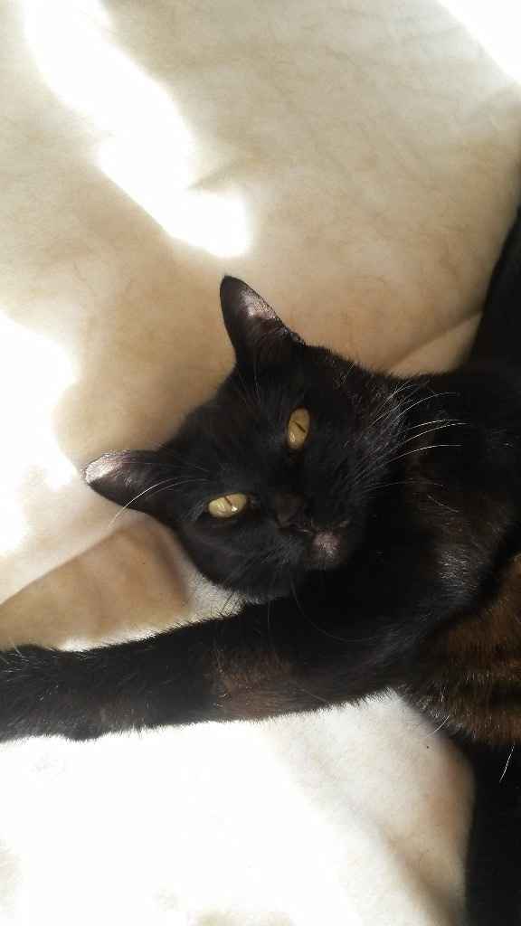 AMor da minha vida