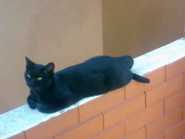 AMor da minha vida