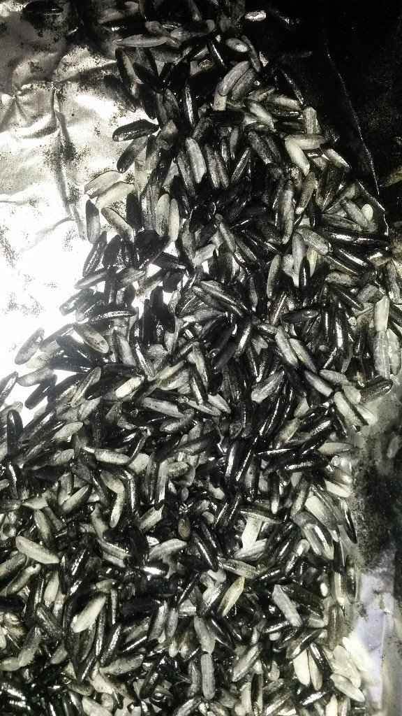 Arroz preto