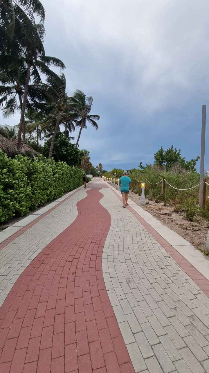 Lugares fixes em Miami cidade e praia - 14