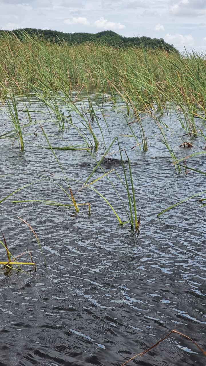 Lugares fixes em Miami cidade e praia - 54