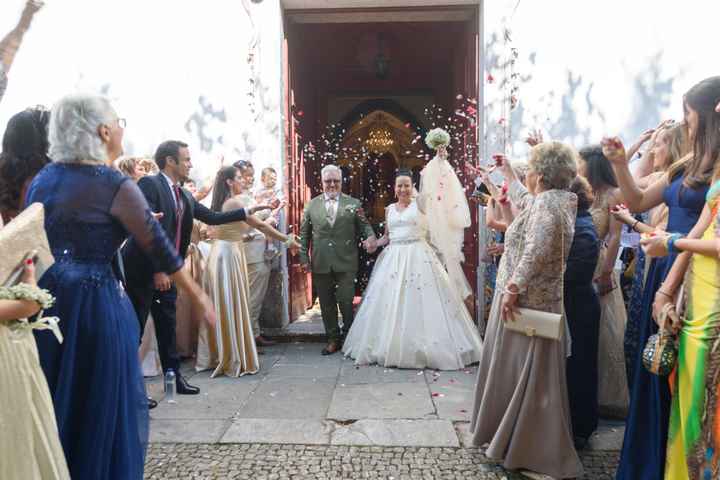 Haver ou nao cones para o lançamento de petalas!! - 7