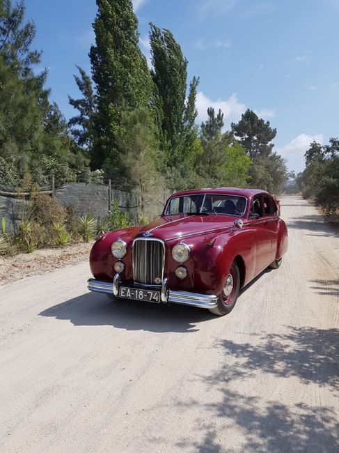 Casada e Muito Feliz 😃 - 5