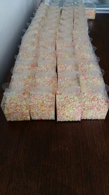 Alternativa para os sacos de organza e os cones - 2