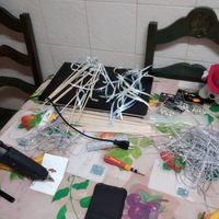 o inicio das varinhas da felicidade