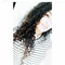Thais
