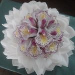 Calla Florista