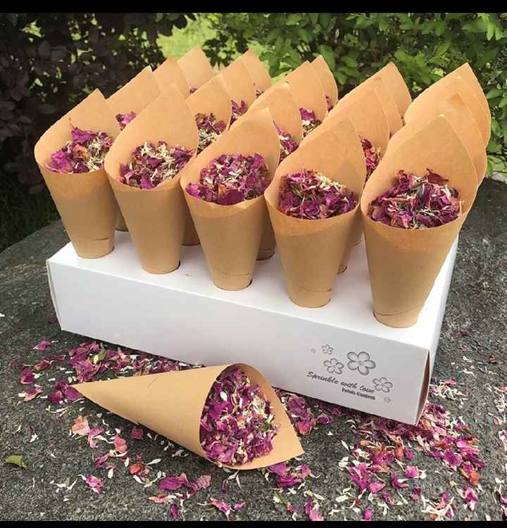 Cones das petalas + caixa - 2