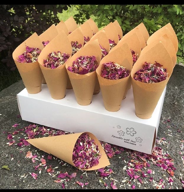 Cones das petalas + caixa - 2
