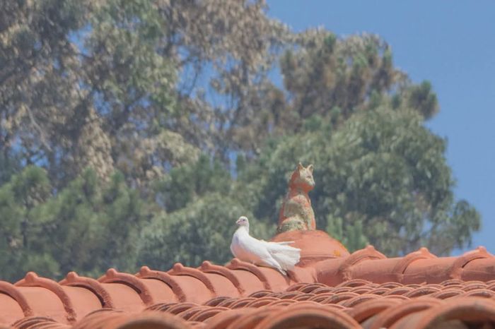 Decoração do meu casamento❤️ 18