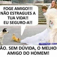 O Melhor Amigo do Homem 